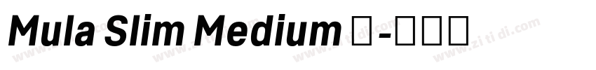 Mula Slim Medium 中字体转换